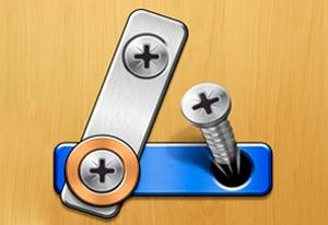 play Screw Puzzle