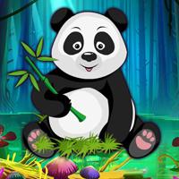 Baby Panda Hungry Escape