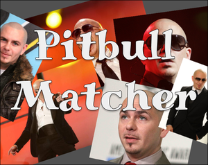 play Pitbull Matcher