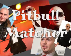 Pitbull Matcher