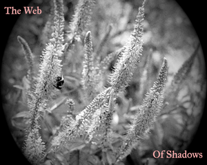 play The Web Of Shadows
