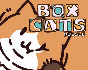 play Box Cats Puzzle-2024