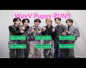 Wayv Puppy Run!