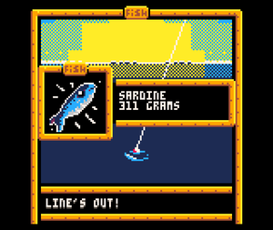 play Sardine Catcher