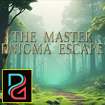 The Master Enigma Escape