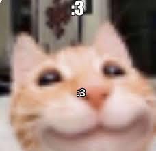 play Cat Mania