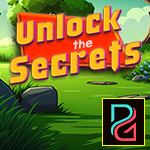Pg Unlock The Secrets Escape game