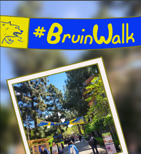 play Bruinwalk