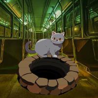 Wow-Abandoned Train Cat Escape