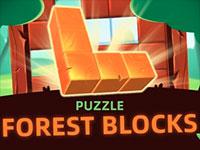 Puzzle Forest Blocks game