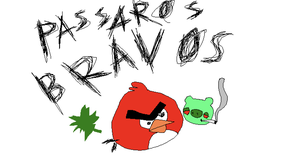 Passaros Bravos