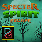 Pg Specter Spirit Escape game