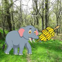 Feed The Little Elephant game