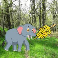 play Feed The Little Elephant