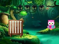 play G2M Songbird Escape