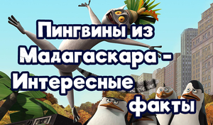 play Пингвины Из Мадагаскара - Интересные Факты