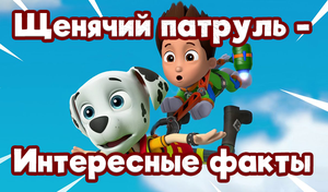 play Щенячий Патруль - Интересные Факты