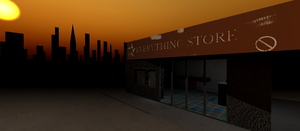 The Everything Store