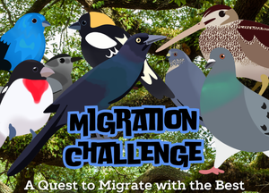 Migration Challenge
