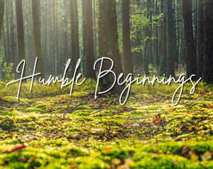 Humble Beginnings game