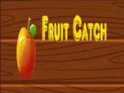 Fruit Catch game