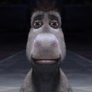 play Donkey'S Flare Dating Simulator