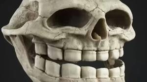 play The Skull Dungeon
