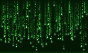 play Space Invater Matrix