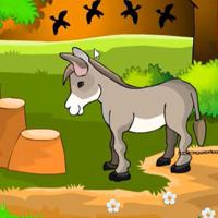 G2L-Pity-Donkey-Escape game