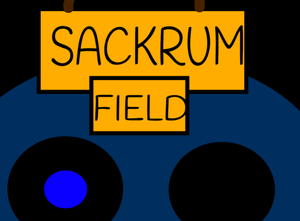 play Sackrum Field