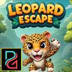 Charmed Leopard Escape