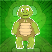 play G2J Forest Green Tortoise Rescue