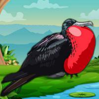 play Big-Rescue The Frigate Bird