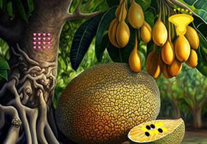 Jackfruit Friends Escape game