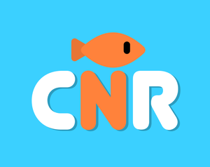 play Catch N Release