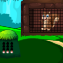 G2M Squirrel Rescue Mission game