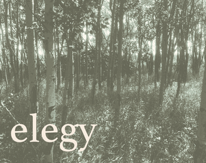 play Elegy