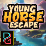 Young Horse Escape game