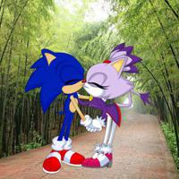 Seeking The Sonic Friend game