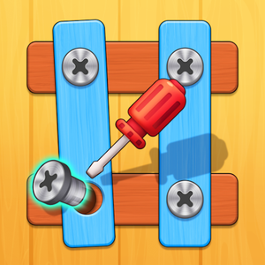 Screws, Nuts & Bolts game