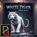 White Tiger Escape game