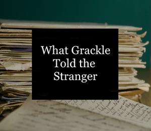 play What Grackle Told The Stranger