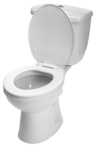 play Toilet'S Sick Flip (For Chromebooks And Other Computers)