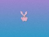 play Bunny Funny
