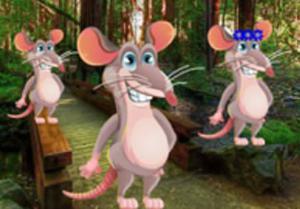 play Release The Family Of Rats