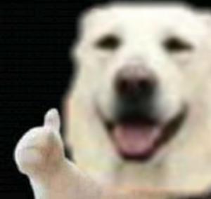 play Dogs In Hell