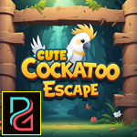play Cute Cockatoo Escape