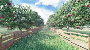 play Apple Picker | Arcade Game