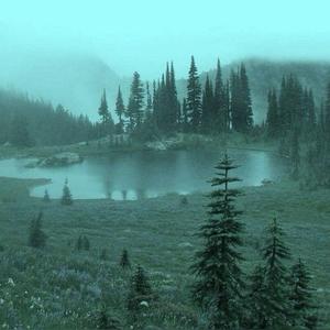play Twilight Saga: Edward'S Journey