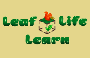 play Leaflifelearn